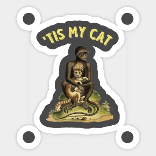 'Tis My Cat Sticker